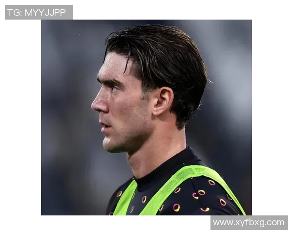 弗拉霍维奇的崛起与未来展望解析足球界的新星魅力与挑战