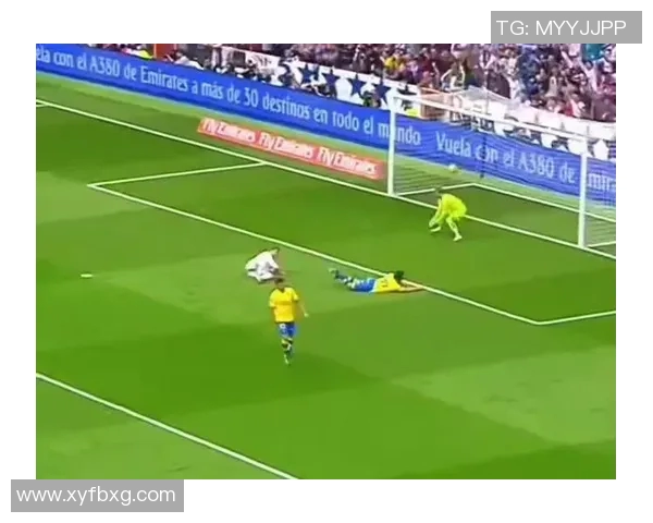 球迷疯狂行为引热议：冲进场内抢C罗球衣成欧冠奇观